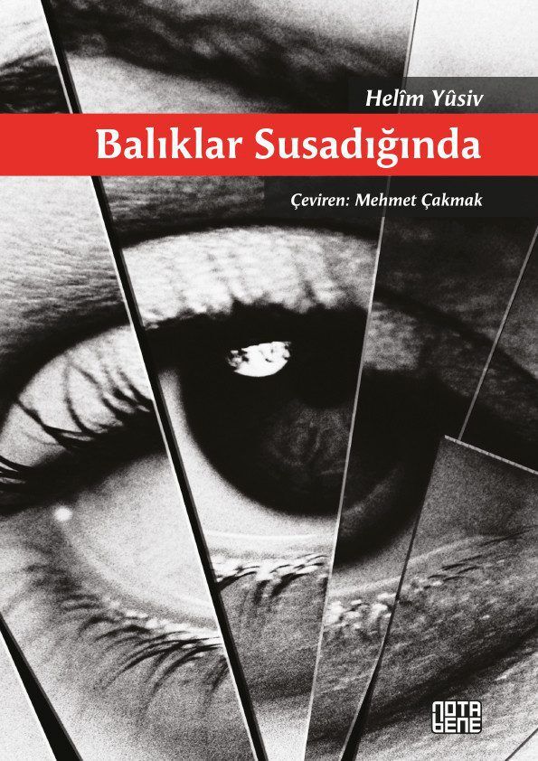 Balıklar Susadığında