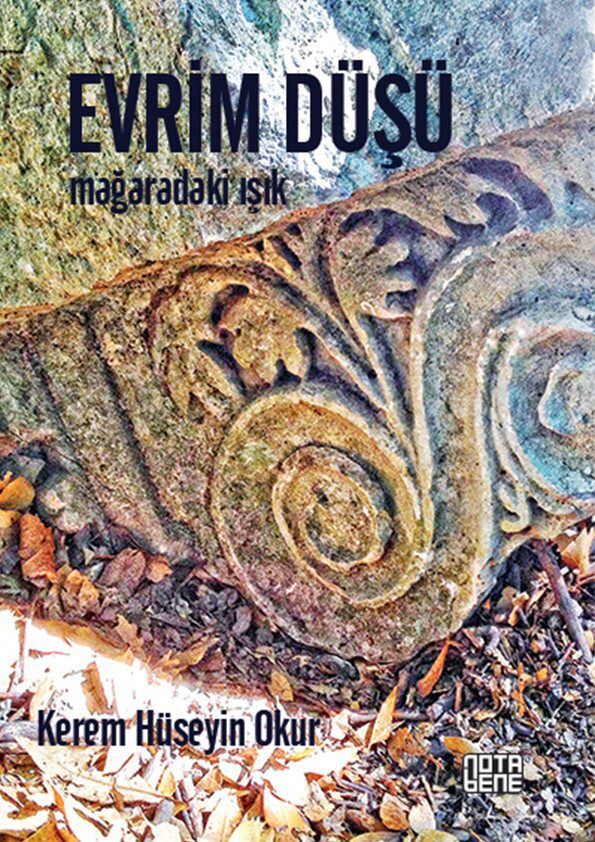 Evrim Düşü Mağaradaki Işık
