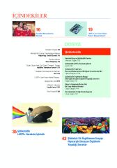 Kaos GL Dergisi Sayı 195 – Şiddetsizlik